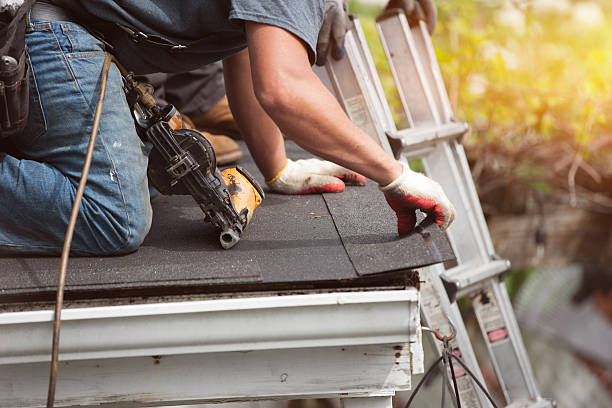 Best Flat Roof Repair Services  in Elkhart, IN